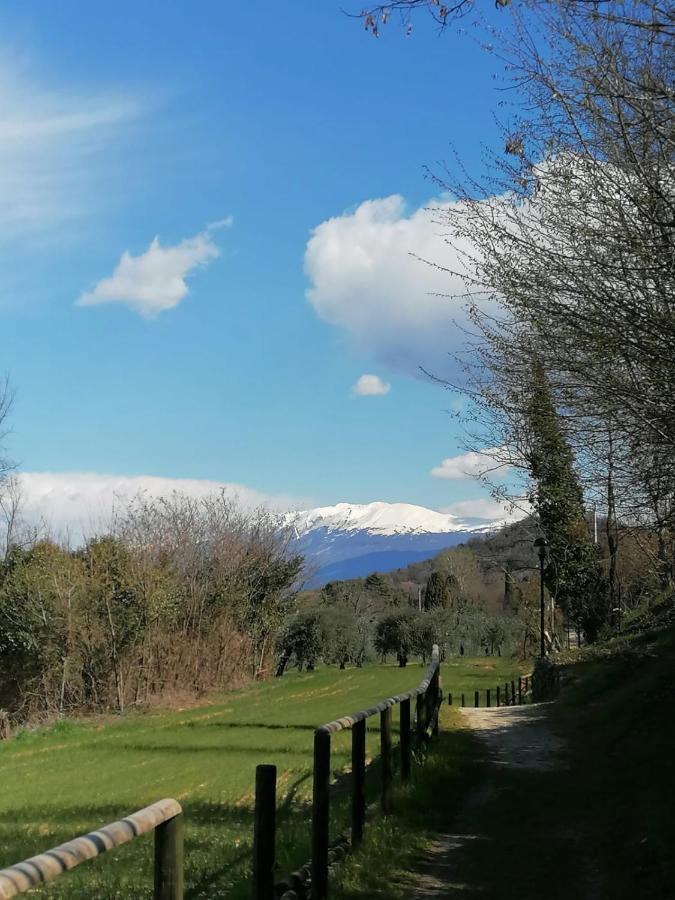 Garda Best Living Lägenhet Desenzano del Garda Exteriör bild